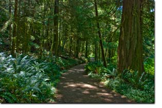 East Sooke Park Pike Point Trail